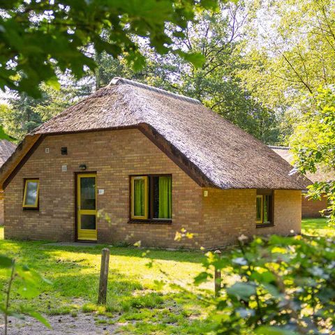 House 6 persons - Hattem
