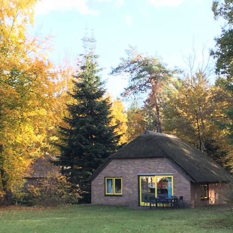 House 6 persons - Veluwe