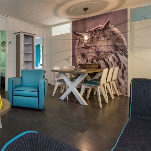 HOUSE 6 people - Veluwe