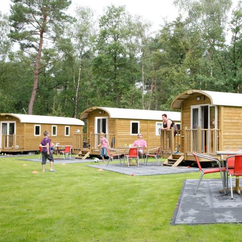 Mobile home 4 persons - 2+2 (up to 12 years) Circus wagon