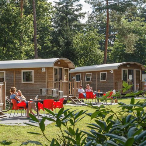 Mobile home 4 persons - 2+2 (up to 12 years) Circus wagon