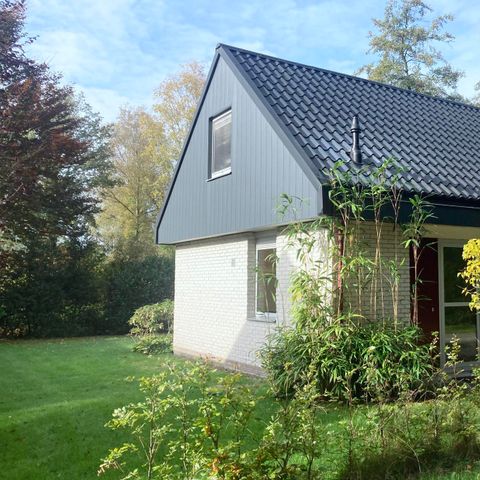 Bungalow 6 persons - Poplar | 4+2 persons