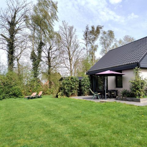 Bungalow 4 persons - Beech
