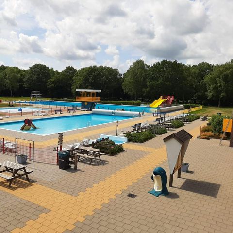 Bungalowpark Het Bosmeer - Camping Weststellingwerf - Image N°2