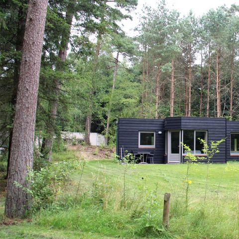 HOUSE 4 people - Panorama