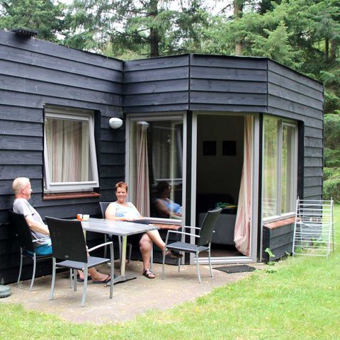 HOUSE 4 people - Panorama