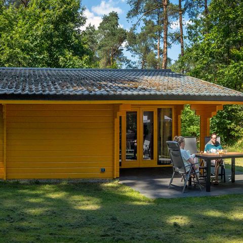 House 4 persons - Dartheide
