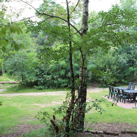 HOUSE 8 people - 8 pers. vakantiehuisje Heidestein