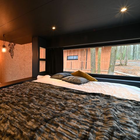 Chalet 4 persons - Forest Cube Reconnect