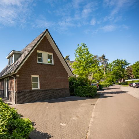 Bungalow 8 persons - De Wiersse 8