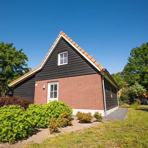 Bungalow 6 persons - Chateau 6
