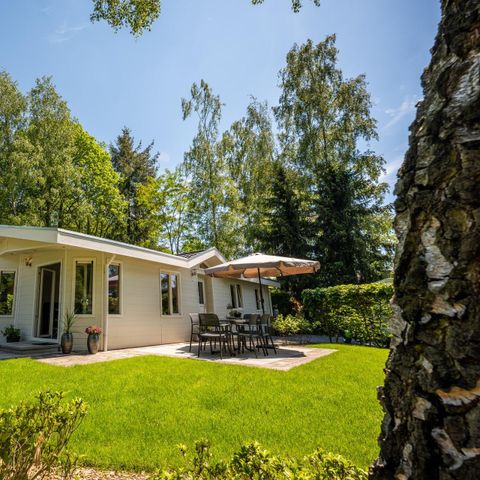 Chalet 6 persons - Hackfort 6