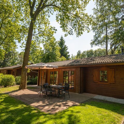 CHALET 6 people - Boekhorst 6