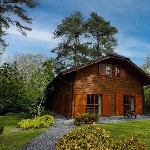 CHALET 12 people - Boekhorst l'etage 12