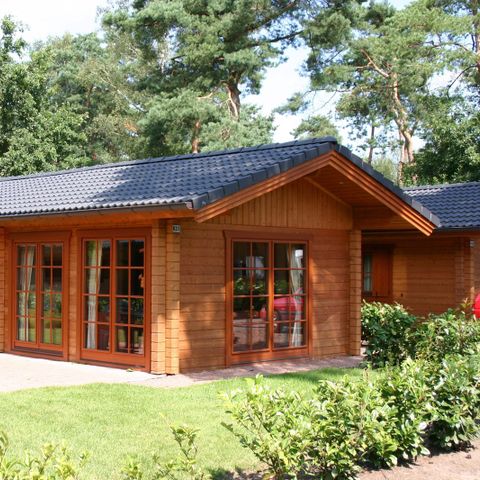 CHALET 4 people - Boekhorst 4