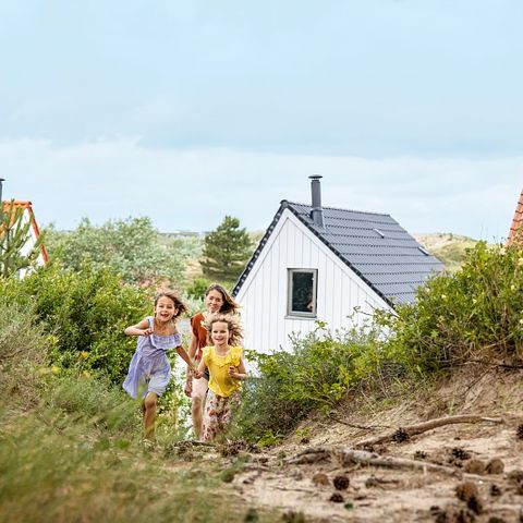 Center Parcs Park Zandvoort - Zandvoort - Image N°5