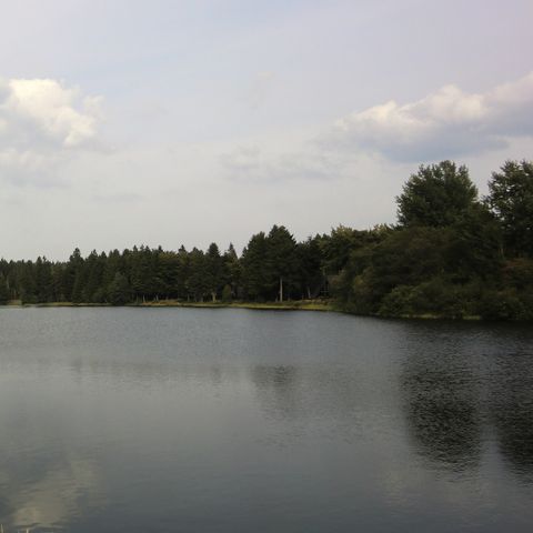 Ferienpark Harz am Waldsee - Camping Lower Saxony - Image N°4