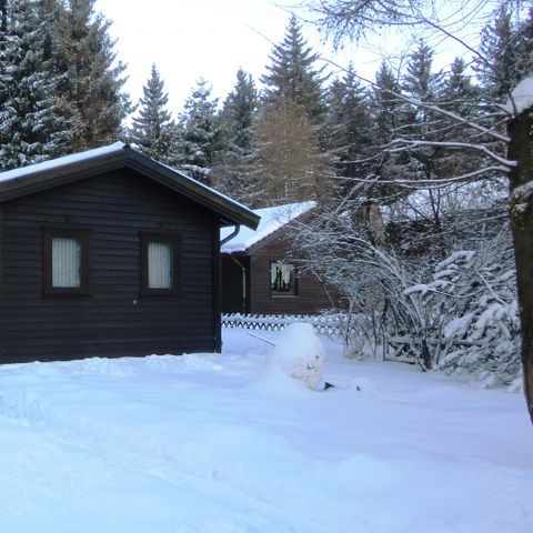 Ferienpark Harz am Waldsee - Camping Lower Saxony - Image N°6
