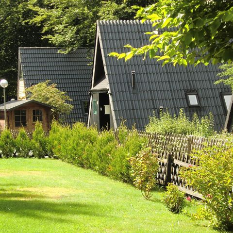 Ferienpark Harz am Waldsee - Camping Lower Saxony - Image N°5