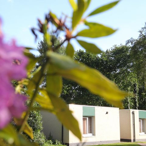 BUNGALOW 6 people - H6A