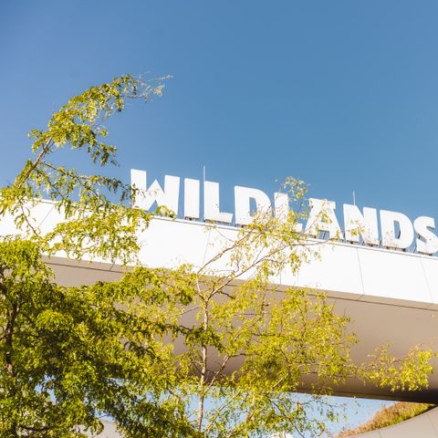 Landal Vakantiepark Hunzedal - Borger-Odoorn - Image N°5