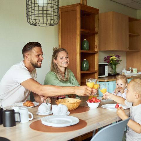 BUNGALOW 6 people - Badger incl. entrance Safaripark Beekse Bergen