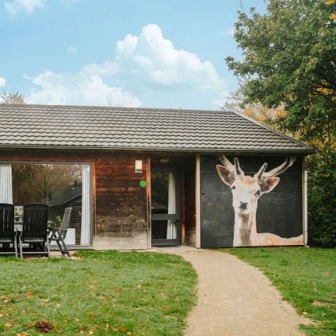 BUNGALOW 6 people - Damhert incl. Sauna