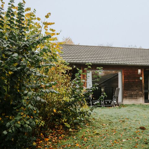 BUNGALOW 6 people - Damhert incl. sauna and incl. entrance Safaripark Beekse Bergen