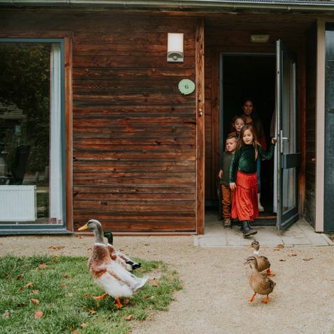 BUNGALOW 6 people - Damhert Kids incl. sauna and incl. entrance Safaripark Beekse Bergen