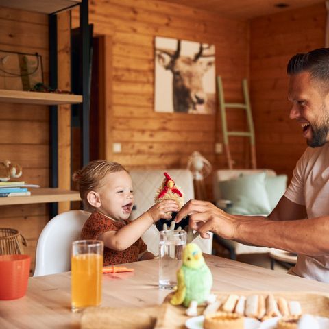 BUNGALOW 6 people - Damhert Kids incl. sauna and incl. entrance Safaripark Beekse Bergen