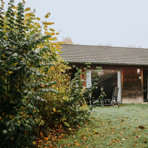 BUNGALOW 6 people - Damhert Hottub & Sauna incl. entrance Safaripark Beekse Bergen
