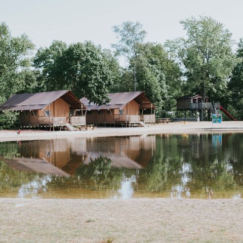 LODGE 6 people - Lodge Pauw incl. entrance Safaripark Beekse Bergen