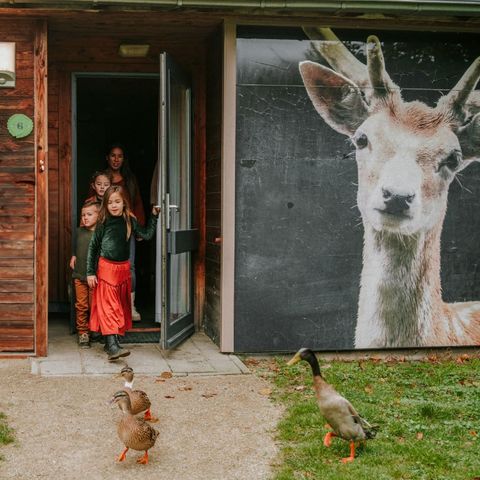 BUNGALOW 6 people - Kidsbungalow Damhert incl. Sauna & Hot tub