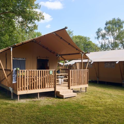 Canvas and wooden tent 6 persons - Darwin