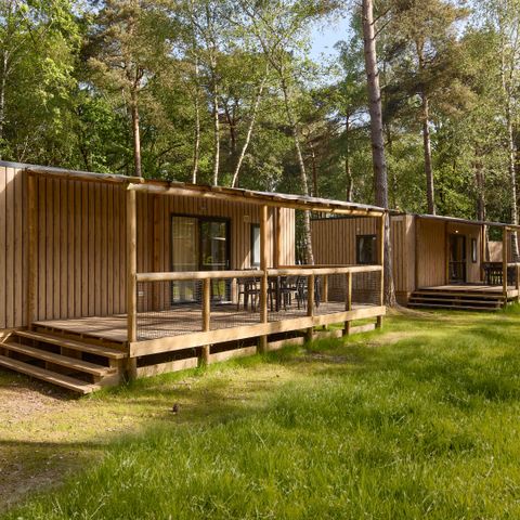 Chalet 5 persons - Forest Cabin