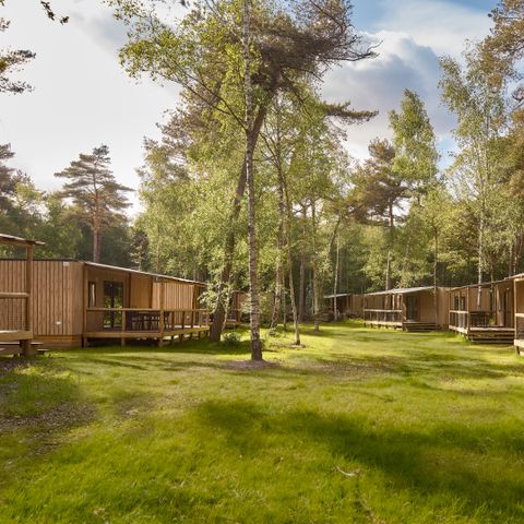 CHALET 5 people - Forest Cabin