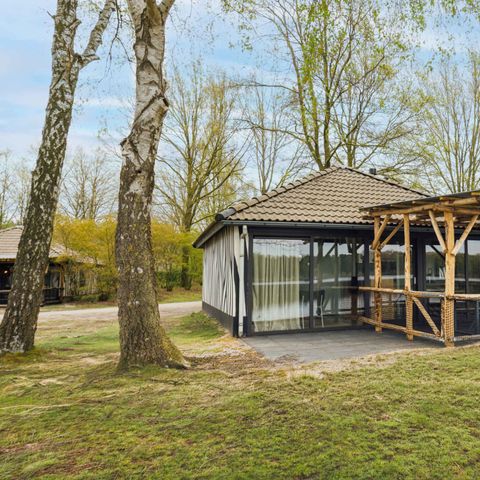 Bungalow 5 persons - Forest Jungalow - renovated