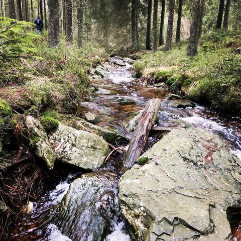 Camping Oos Heem - Liege - Image N°6