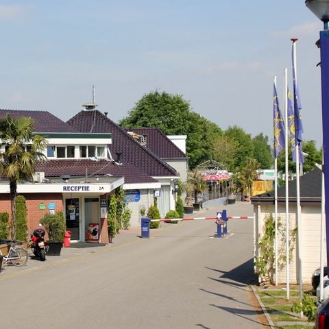Vakantiepark De Oude Molen - Camping Dal en Berg - Image N°3