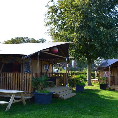 TENT 7 people - Safari tent