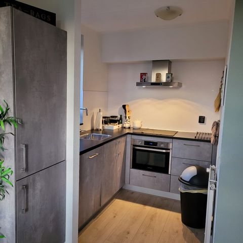 BUNGALOW 6 people - the Flemish Giant 195