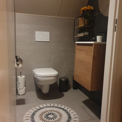 Bungalow 6 persons - Forest 217 Sauna
