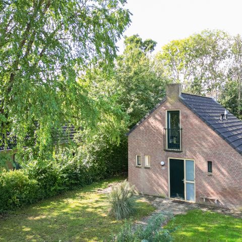 Bungalow 6 persons - Forest 209