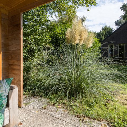 Bungalow 6 persons - Forest 209