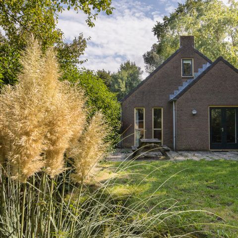 Bungalow 6 persons - Forest 209
