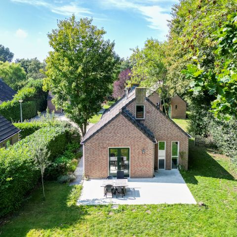 Bungalow 4 persons - Forest 271