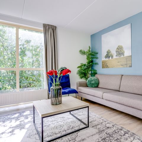 Bungalow 6 persons - Forest 231