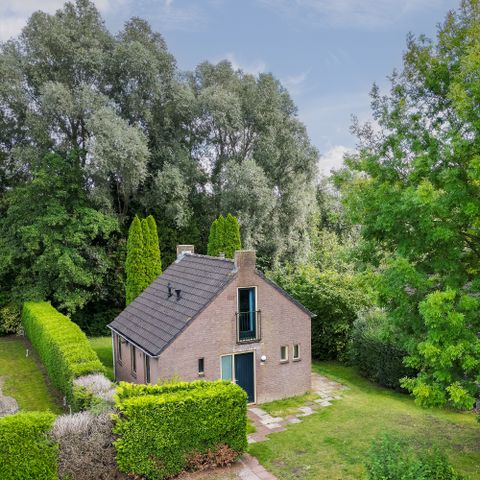 Bungalow 6 persons - Forest 231