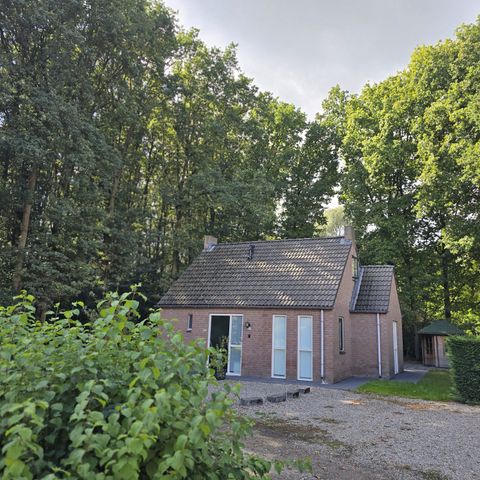 Bungalow 6 persons - Forest 117 Sauna