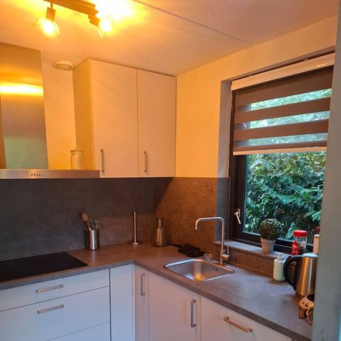 BUNGALOW 6 people - Forest 277
